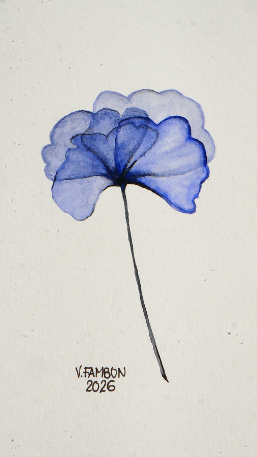 Fleur bleue toute en transparence
